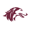 Salukis
