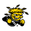 Shockers