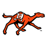 Fighting Camels