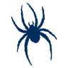 Spiders
