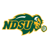 Bison