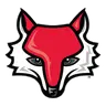 Red Foxes