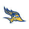 Roadrunners