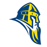 Vikings