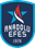 Anadolu Efes Istanbul