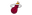 Miami Heat