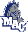 Mount Aloysius