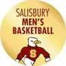Salisbury Sea Gulls