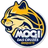 Mogi