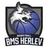 Herlev Wolfpack