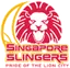 Singapore Slingers