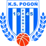 Pogon Prudnik