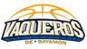 Vaqueros de Bayamón