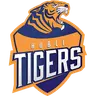 Hubli Tigers