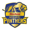 Siechem Madurai Panthers
