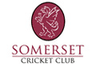 Somerset 2nd XI