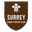 Surrey 2nd XI