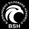 Bjerringbro Women
