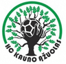 Kauno Azuolas