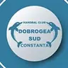 HC Dobrogea Sud