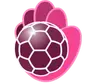 BM Guadalajara