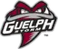 Guelph Storm
