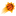 Suns