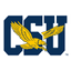 Eagles
