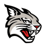 Wildcats