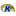 Golden Flashes