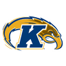 Golden Flashes