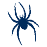 Spiders