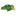 Bison