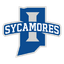 Sycamores