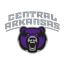 Bears