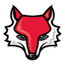 Red Foxes