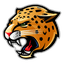 Jaguars