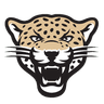 Leopards