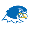 Blue Falcons