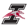Greyhounds