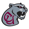 Mountain Lions