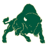 Bison