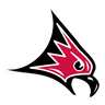 Falcons