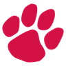 Bobcats