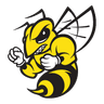 Yellow Jackets