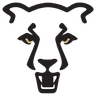 Mountain Lions