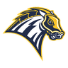 Chargers