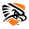 Falcons