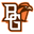 Falcons
