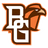 Falcons